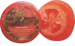 Red Guava with Island Citrus Premium Organics Coconut Butter Sticker Loofah Soap